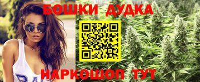 марки lsd Гусиноозёрск