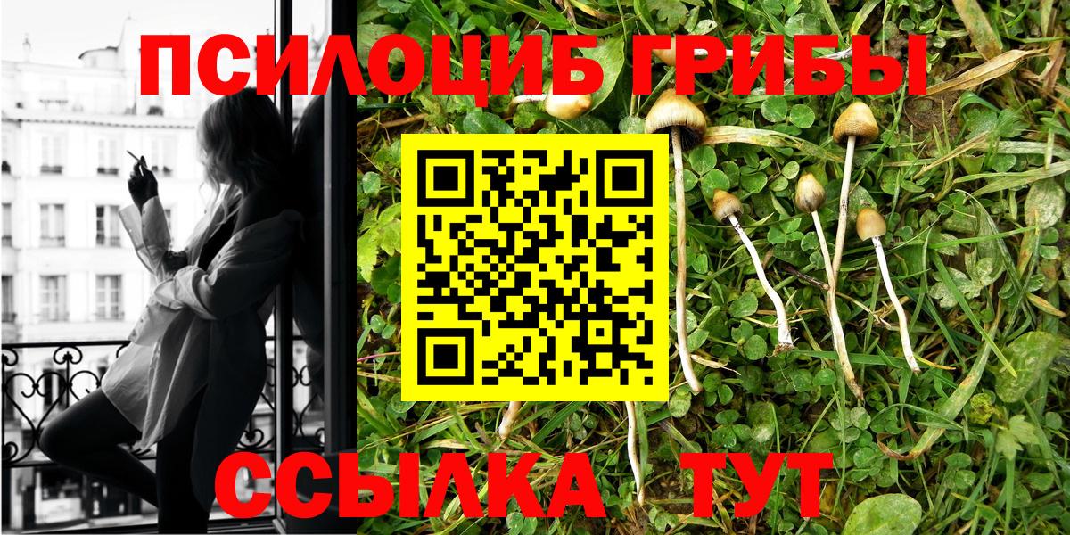 Галлюциногенные грибы прущие грибы Нижний Тагил